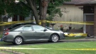 Three dead in Alta Vista area stabbing