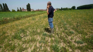 Rice farmer Giovanni Daghetta stands on a dried rice field in Mortara, Italy, on June 27, 2022. (Luca Bruno / AP) 