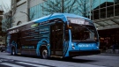 Grand River Transit has announced it's ordered its first six electric buses. (Twitter/Grand River Transit)