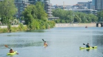 People kayak on the Lachine Canal on a warm summer day in Montreal. (THE CANADIAN PRESS/Graham Hughes)