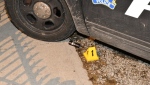 The ARWEN cartridge case at the scene following a Brantford police officer shooting the projectile at a man. (SIU)
