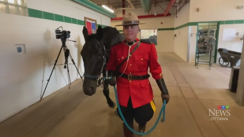 Saddle up for the RCMP Musical Ride