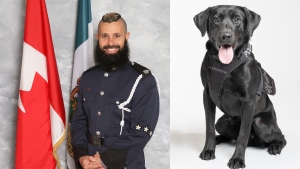 Police dogs named after fallen officers