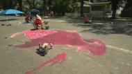 Regina was host to many different activities for Canada Day. (Donovan Maess/CTV News)