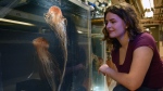 Jessica Schaub is a first year PhD student at UBC's Institute for the Oceans and Fisheries. (Photo: Vancouver Aquarium)