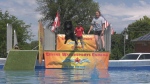 A dog jumping off the dock at PemBARK in Pembroke, Ont.  (Dylan Dyson/CTV News Ottawa) 