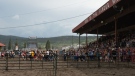 A crowd was forced to evacuate a rodeo in Northern B.C. on July 3, 2022 following a shooting. Photo submitted by Kevin Li. 