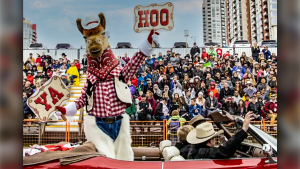 The 2022 Calgary Stampede Parade will take place Friday, July 8 in the downtown core. (file)