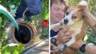 Dog rescued from drainage pipe in Nanaimo, B.C.