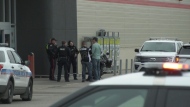 The east end Canadian Tire was evacuated Tuesday morning while Regina police searched for a robbery suspect. (KatySyrota/CTVNews)