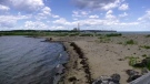 Dominion Beach is seen on July 5, 2022. (Kyle Moore/CTV)