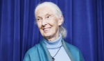 Renowned anthropologist Dr. Jane Goodall will be in Greater Sudbury on Thursday to mark a major milestone in the city's regreening efforts. (File)