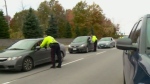 Ottawa Police report 19 impaired drivers over three days, a ‘very high’ number. CTV’s Jackie Perez reports. 
