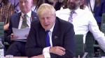Boris Johnson says he's having a 'terrific' week