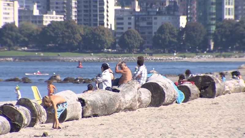 Vancouver beaches losing logs permanently?