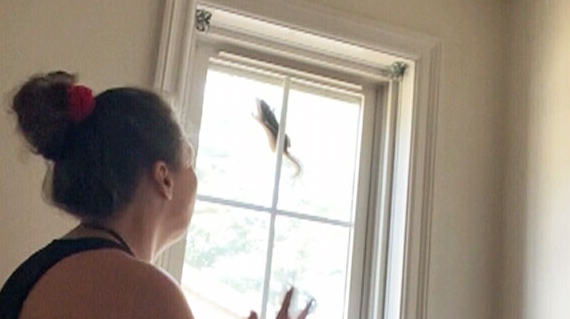 Video of woman trying to free chipmunk goes viral