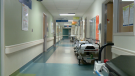 A hospital hallway is pictured (FILE IMAGE)