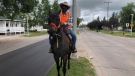 Dean Cunningham and his horse, Baby Blue. (Stacey Hein / CTV News)