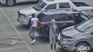Ottawa police released a video showing two suspects in a daylight shooting on Ritchie Street earlier this month. (Ottawa Police Service)