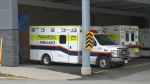 Ottawa Paramedic Service vehicles parked at a hospital in Ottawa. (Natalie van Rooy/CTV News Ottawa) 