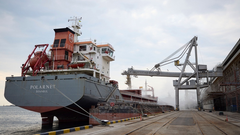 CTV National News: Grain ships to leave Ukraine 