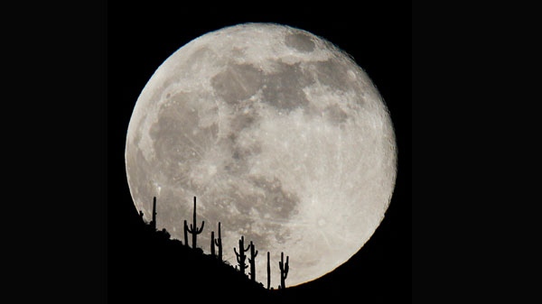 In a Dec. 2, 2009 photo, a full moon of climbs above a stand of saguaro cacti on a ridge line in New River, north of Phoenix, Ariz. (AP/Rob Schumacher/The Arizona Republic)