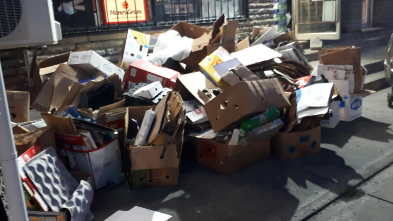 Park Extension residents say the garbage issue has gotten worse since the collection schedule was reduced in 2018. (Photo courtesy of Anh Ngo)