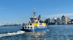 A Halifax Transit ferry is seen in Halifax Harbour on June 30, 2022. (Andrea Jerrett/CTV Atlantic)