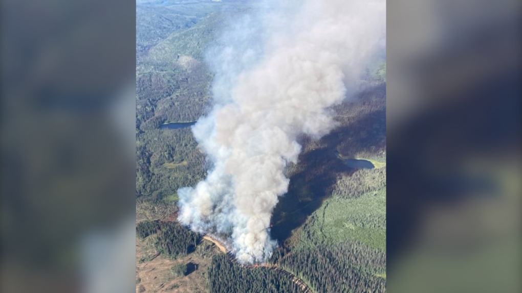 Bear Creek Fire