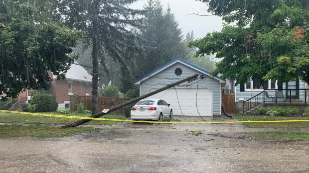 Utility poles were damaged during the storm. (Krista Sharpe/CTV News)