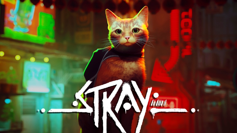 In this image provided by Annapurna Interactive, the "Stray" video game, developed by BlueTwelve Studio and released on July 19, 2022, is seen. (Annapurna Interactive via AP) 