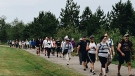 Sudbury to hold 6th Annual Camino Walk 