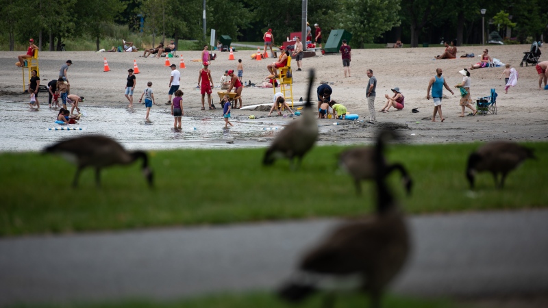 People enjoy Britannia Beach in Ottawa on Sunday, July 24, 2022. (Spencer Colby/THE CANADIAN PRESS)