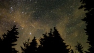 In this 30 second camera exposure, a meteor streaks across the sky during the annual Perseid meteor shower, Aug. 11, 2021, in Spruce Knob, W.Va. (Bill Ingalls/NASA via AP)