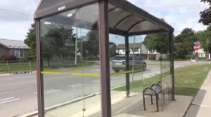 A bus shelter at Westheights Drive near Queens Boulevard in Kitchener. (Johnny Mazza/CTV Kitchener) (Aug. 7, 2022)