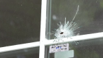 A bullet hole in the front window of a River East home after a shooting incident early Sunday morning (Source: CTV News)