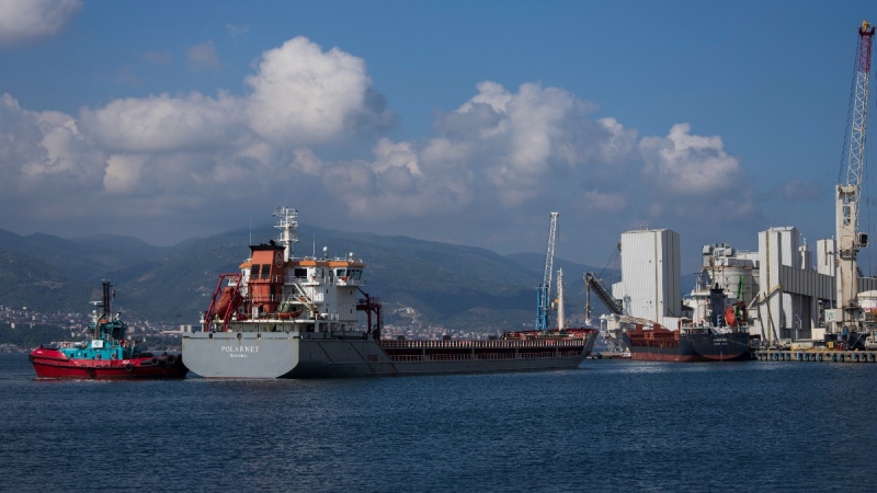 The cargo ship Polarnet, centre, arrives to Derince port in the Gulf of Izmit, Turkey, on Aug. 8, 2022. (Khalil Hamra / AP) 