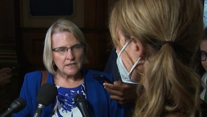 Ont. health minister says system not in crisis