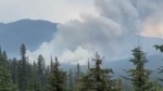 U.S. wildfire crosses over into B.C. 