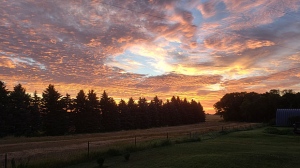August sunrise. Photo by Robert Davidson. 