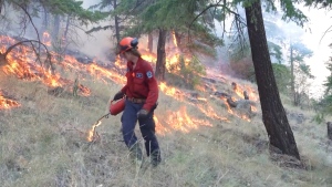BC Wildfire service show how firefighters conduct planned ignitions to help contain the fire.