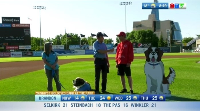 Pitstop: Bark in the Park takes place this weekend
