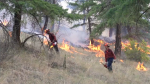 Crews perform a control burn in a video shared by the B.C. Wildfire Service. 
