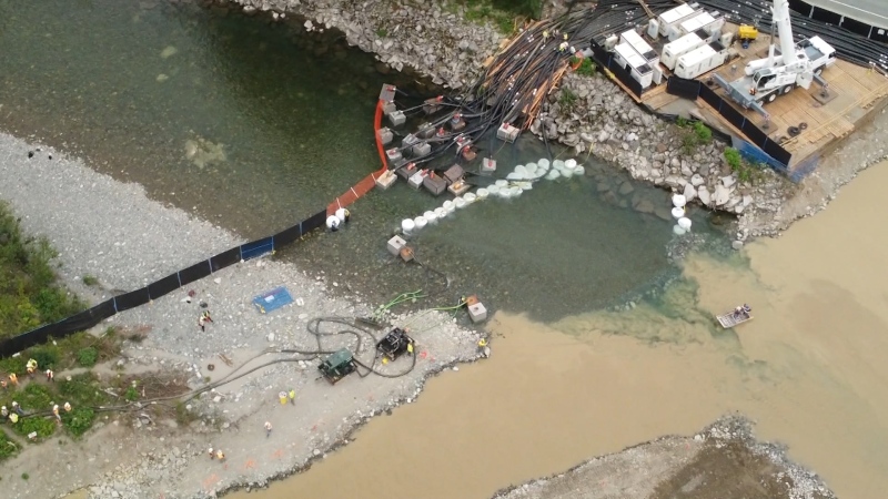 Concerns pipeline construction harming salmon 