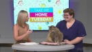 Sassy, 12, from the Sudbury SPCA is looking for a forever home in the first episode of Take Me Home Tuesday. Aug. 10/22 (CTV Northern Ontario)