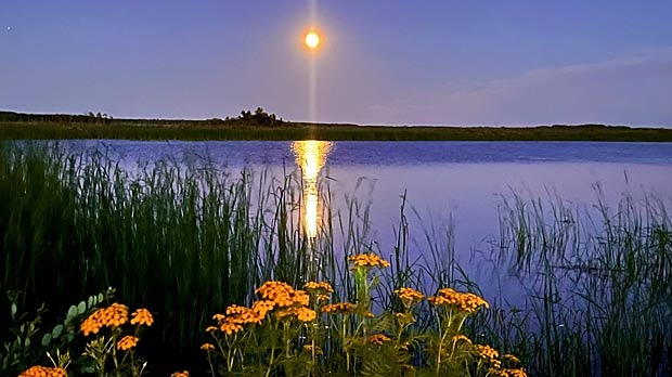 Moon over Falcon Lake. Photo by Martha Heinrichs.
