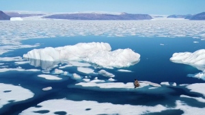 Climate change sparks 'treasure hunt' in Greenland