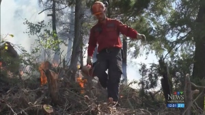 Lightning sparks new B.C. wildfires