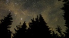 In this 30 second cameras exposure, a meteor streaks across the sky during the annual Perseid meteor shower, Wednesday, Aug. 11, 2021, in Spruce Knob, West Virginia. (Bill Ingalls/NASA via AP)