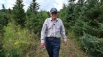 Eugene "Pud" Johnston walking the grounds of Johnston Brothers’ Tree Farm in North Grenville, Ont. Pud started the business in 1952 with his brother Eric. This fall Pud celebrates his 97th birthday.  He still works at the farm every day. (Joel Haslam/CTV News Ottawa)